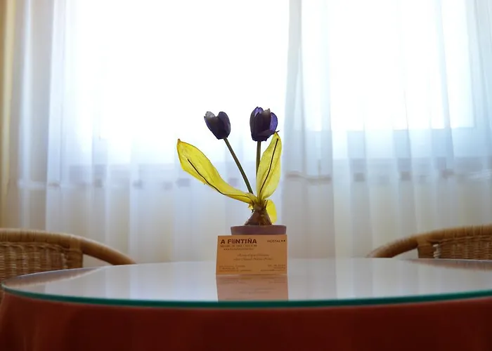 Πανσιόν A Fontina 2*